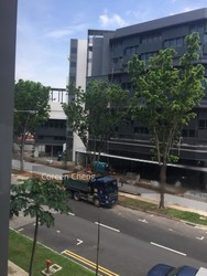 tagore-8 photo thumbnail #15